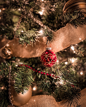 Christmas Tree Close-up